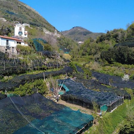 Antica Cartiera Sant'Elia Tramonti Exterior foto