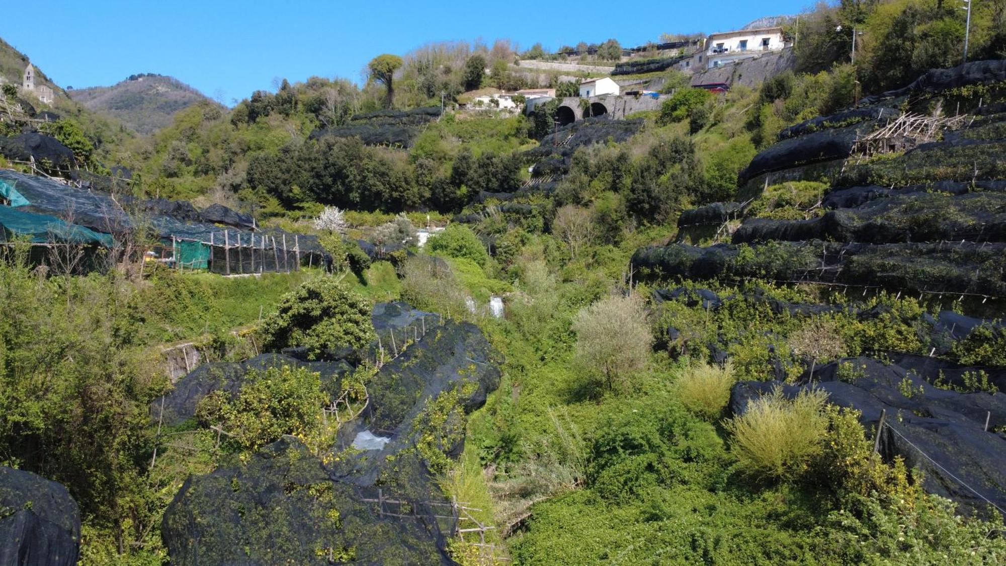 Antica Cartiera Sant'Elia Tramonti Exterior foto